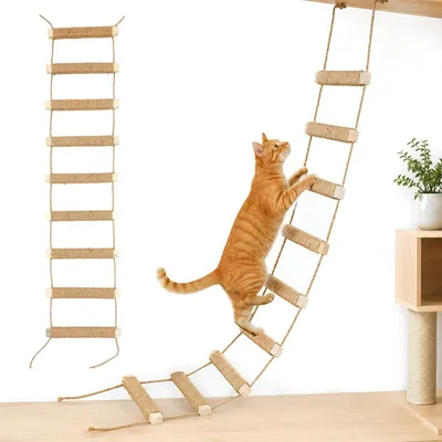 Image de Solidchoice - Échelle pour chats 3 en 1 - Fixation murale avec rampe d'escalade et hamac