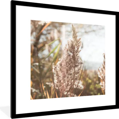 Produktbild von MuchoWow® Gerahmtes Poster Schilf - Sonne - Pflanze 40x40 cm - Poster mit Schwarzem Bilderrahmen Wandposter Rahmen Foto Bilder - Poster - Plakat im Rahmen