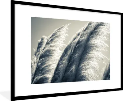 Produktbild von MuchoWow® Gerahmtes Poster Pampasgras - Schwarz - Weiß - Natur 90x60 cm - Poster mit Schwarzem Bilderrahmen Wandposter Rahmen Foto Bilder - Wanddekoration - Fotos