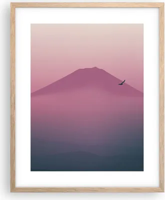 Produktbild von Gerahmtes Poster - Rahmen in heller Eiche - Vulkan Vogel Natur - 40x50 cm - Wand Bild - Wanddeko - Wandbilder - Wandposter - Bilderrahmen - Bilder - Kunstdruck - Wandbild - P2NPA40x50-4124