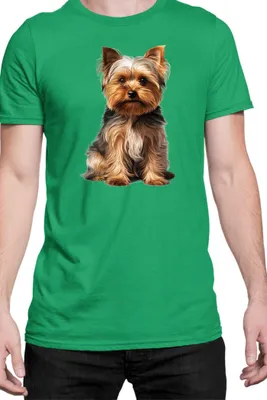 Produktbild von Herren T-Shirt Dogs Breeds Yorkshire Terrier Dog Breed 006, Man M / Grün