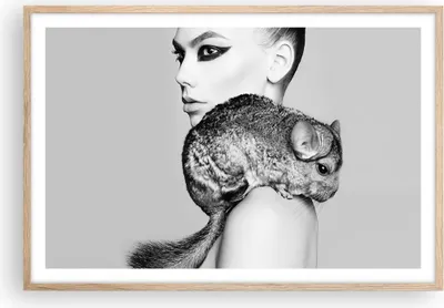 Produktbild von Gerahmtes Poster - Rahmen in heller Eiche - Chinchilla Frau Porträt - 91,5x61 cm - Wand Bild - Wanddeko - Wandbilder - Wandposter - Bilderrahmen - Bilder - Kunstdruck - Wandbild - P2NAA91x61-4278