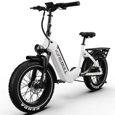 Produktbild von 20 Zoll Fatbike E-Bike mit 960Wh herausnehmbarem Akku und bis zu 130 km Reichweite, 250W Heckmotor, Duo-Scheibenbremsen, Fatbike-Reifen mit Federgabel