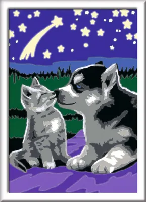 Immagine prodotto di Ravensburger 27847 Ravensburger Malen-nach-Zahlen Hund und Katze