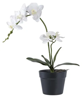Obrázek produktu pro Orchidej – Umělá orchidej v zelené a bílé barvě, výška 49 cm