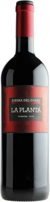 Image de La Planta 2023 Vin rouge Espagne RIBERA DEL DUERO 75.00 cl 14.5 % Le vin rouge est un vin de garde