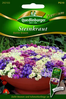 Produktbild von Quedlinburger Saatgut - Steinkraut bunte Kissen - Samen - 292103