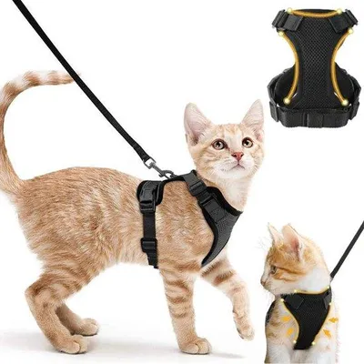 Immagine prodotto di Pettorina per gatti con imbottitura riflettente - Regolabile - Per gatti e gattini - Nera - Taglia XS - Pettorina per animali domestici - Circonferenza collo 21,25-27,5 cm - Circonferenza torace 35-40 cm