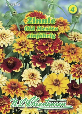 Produktbild von Zinnie Old Mexico | Zinniensamen von N.L. Chrestensen