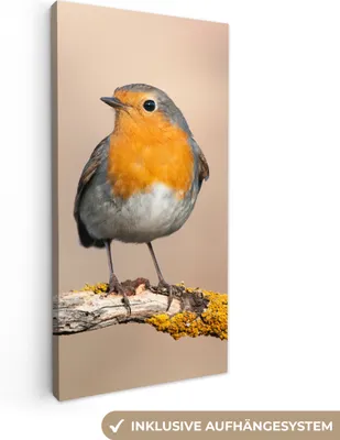 Produktbild von MuchoWow® - Leinwandbilder - Rotkehlchen - Vogel - Zweig - Tiere, Wandbild, Wanddeko Bilder Wohnzimmer, 20x40 cm