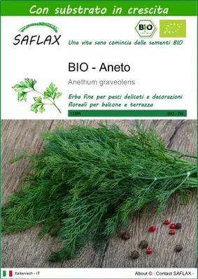 Immagine prodotto di SAFLAX  -- Aneto - 700 semi - Con substrato - Anethum