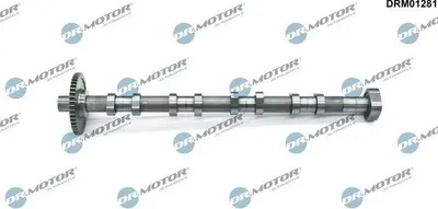 Image de Arbre A Cames D'echappement Vw Passat 1.8Tsi 07-