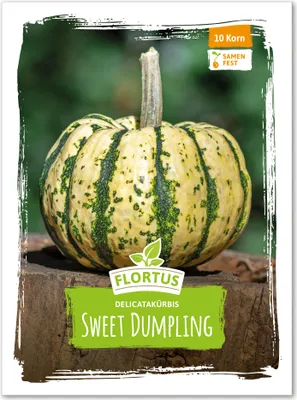 Produktbild von Delicatakürbis Sweet Dumpling | Delicatakürbissamen von FLORTUS