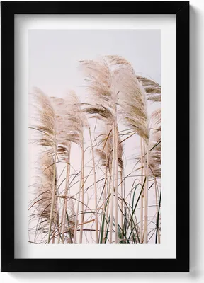 Produktbild von Romantische Landschaft mit Gras im Boho-Stil– Wandbild mit Rahmen – Gerahmtes Bild  – Wanddekoration – 20x30 cm – Schwarz