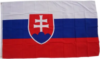 Produktbild von Flagge Slowakei 90 x 150 cm - Fahne- reißfest - rissfest - Hissfahne- Hissflagge - Sturmflagge -zum hissen - - keine billige Chinaqualität