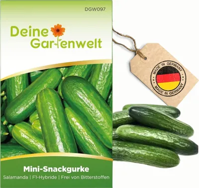 Produktbild von Mini Snackgurke Salamanda F1 Samen - Cucumis sativus - Gurkensamen - Gemüsesamen - Saatgut für 6-8 Pflanzen