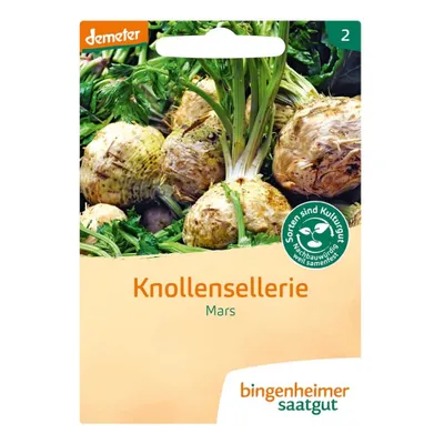 Produktbild von Knollensellerie - Mars