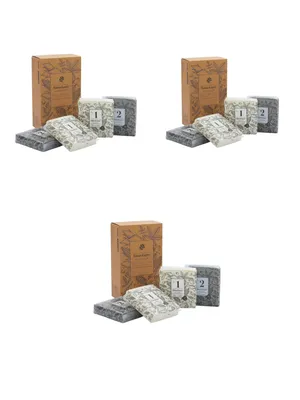 Produktbild von Purpurra Katzenstreu 24kg, 6× Maniok + 6× Bentonit-Kohle, 12-Beutel Pack