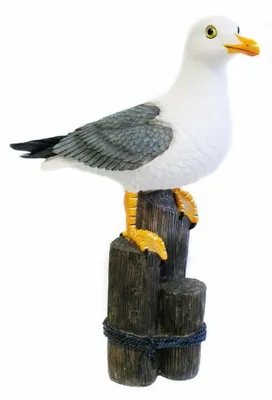 Produktbild von Dekoration Garten/Haus Figur Vogel - Mowe - Polystone - 50 cm - Maritim