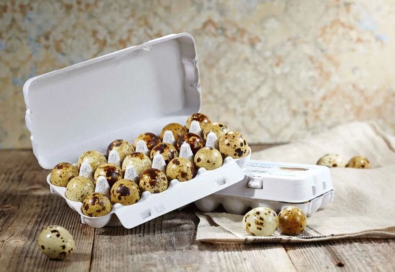 Vogelsberger Wachtelzucht 12 Stück Delikatess Wachteleier Wachtelspeiseeier V1029