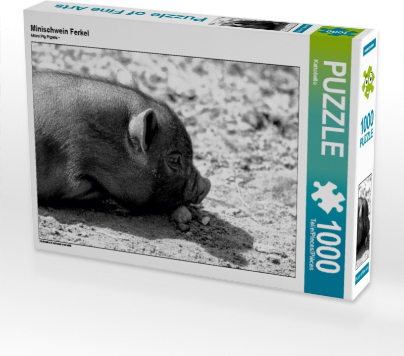 Calvendo Minischwein Ferkel 1000 Teile Puzzle quer 640x480mm, CALVENDO; 7311926