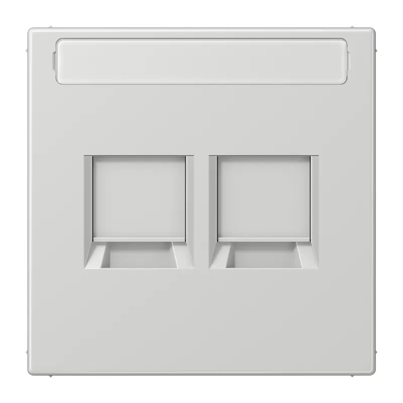 Jung Abdeckung (gerastet) für Modular-Jack-Steckbuchsen 2fach, UMA-CAT6A, RADIALL, Panduit, Assmann, mit Schriftfeld, Thermoplast, Serie LS, lichtgrau LS1969-2NAWELG