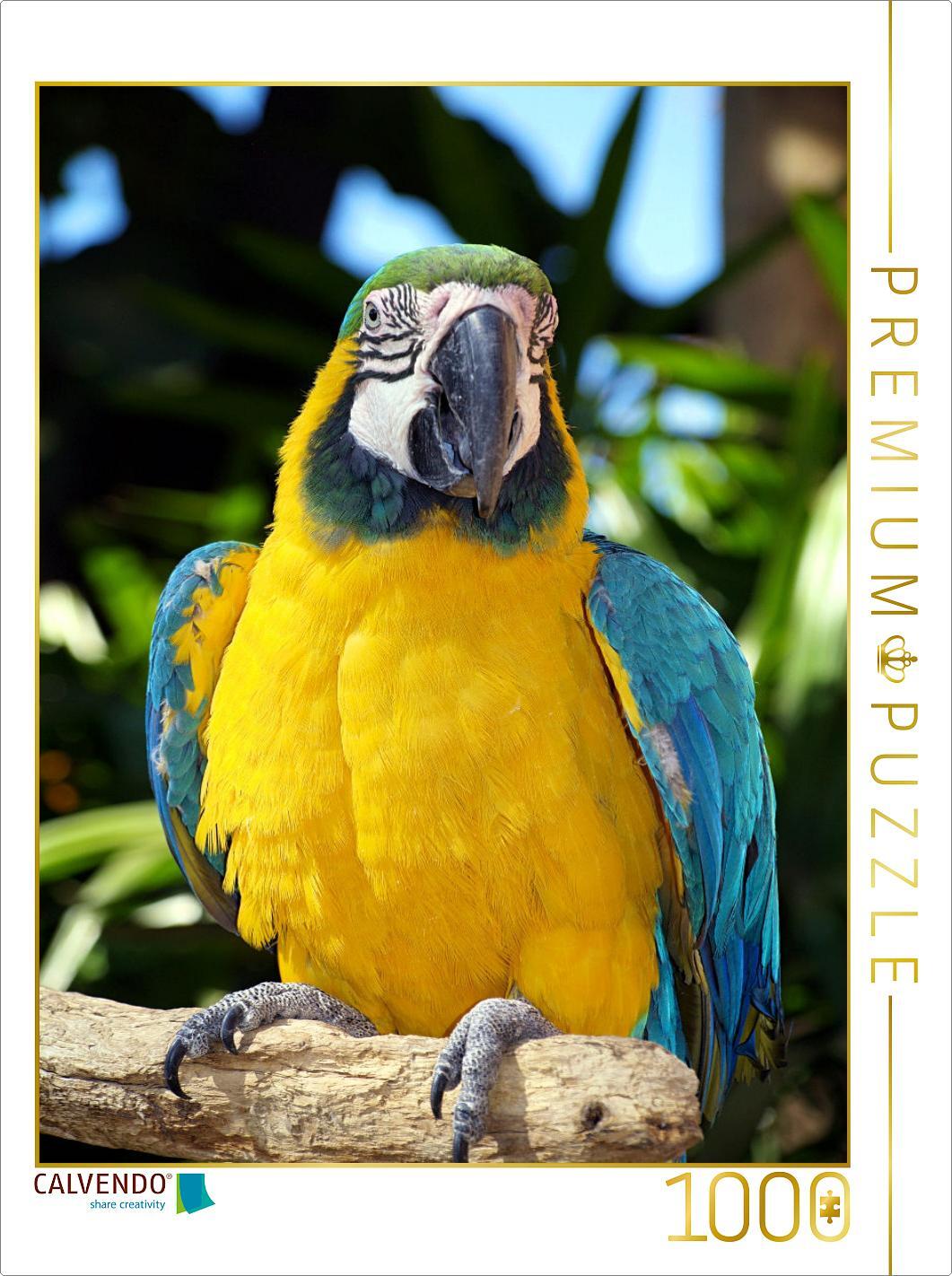 CALVENDO Puzzle Stolzer Gelbbrustara | 1000 Teile Lege-Größe 64x48cm Foto-Puzzle für glückliche Stunden