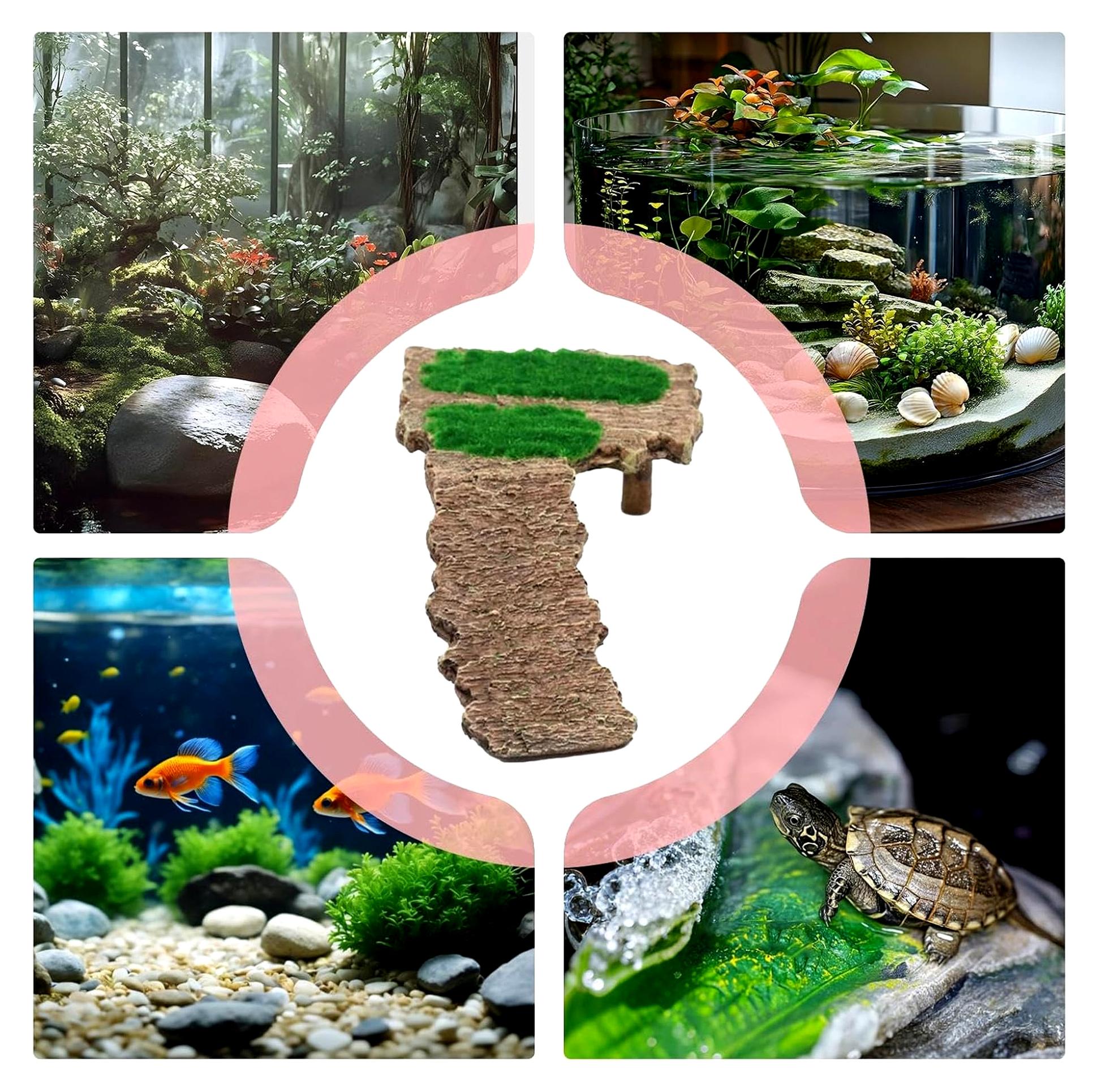 Markenlos Plattform für Schildkröten | Ruhebereich im Terrarium