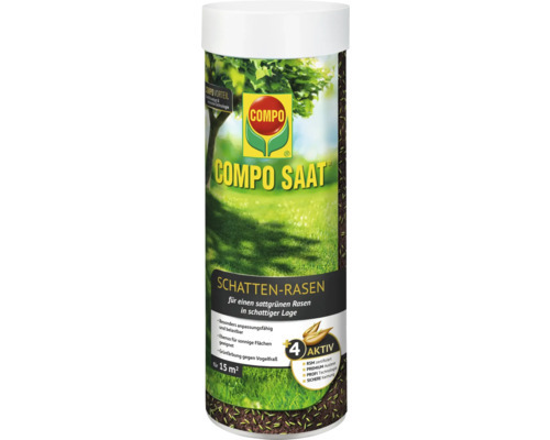 sprossen saatgut bio Saatgut Rbchen-Sprossen 'Mesophylla' Bio - Brassica rapa