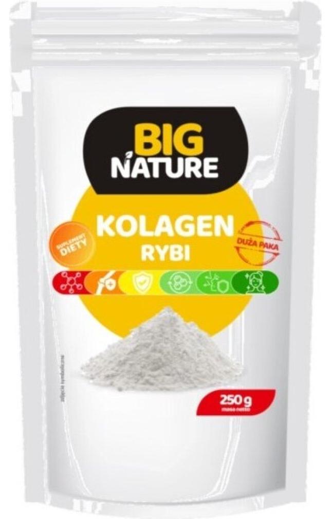 BIG NATURE Big Nature Fischkollagen 250 g BN072