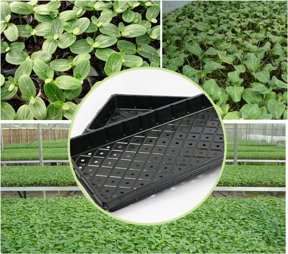 Cocosity 2PCS Plant Growing Trays Garten Seed Nursery Trays Kunststoff Vermehrung Trays