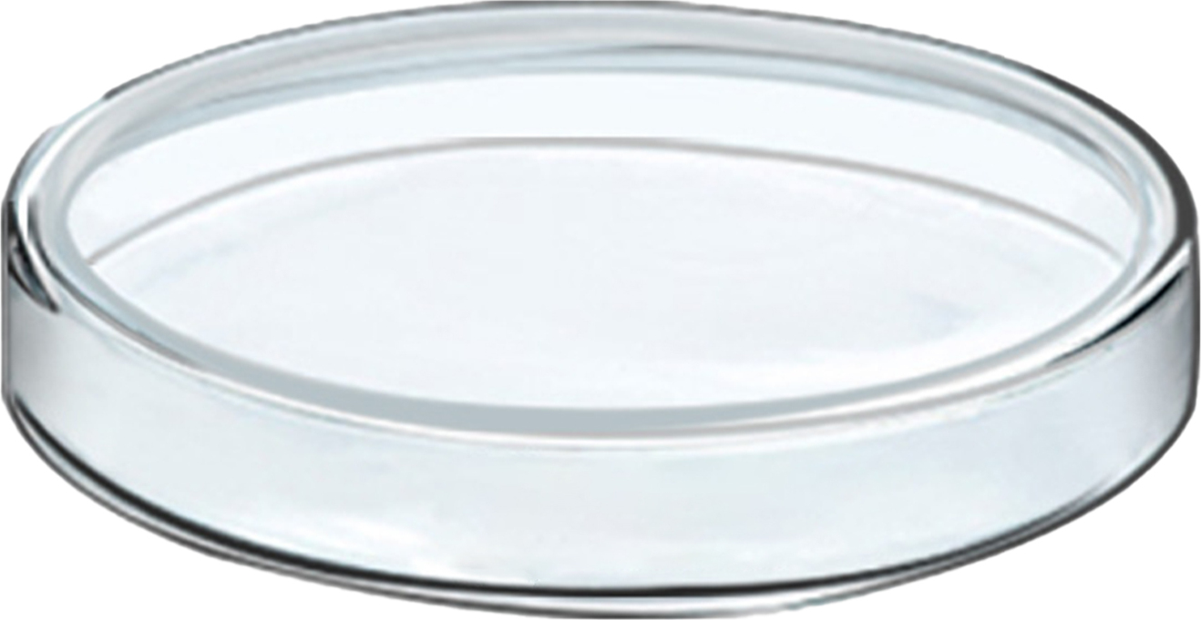 Bmen 60-100 ml Kulturschale transparent hitzebeständige umweltfreundliche professionelle Glaskulturschüssel für Labor-90 mm 2603968@brem