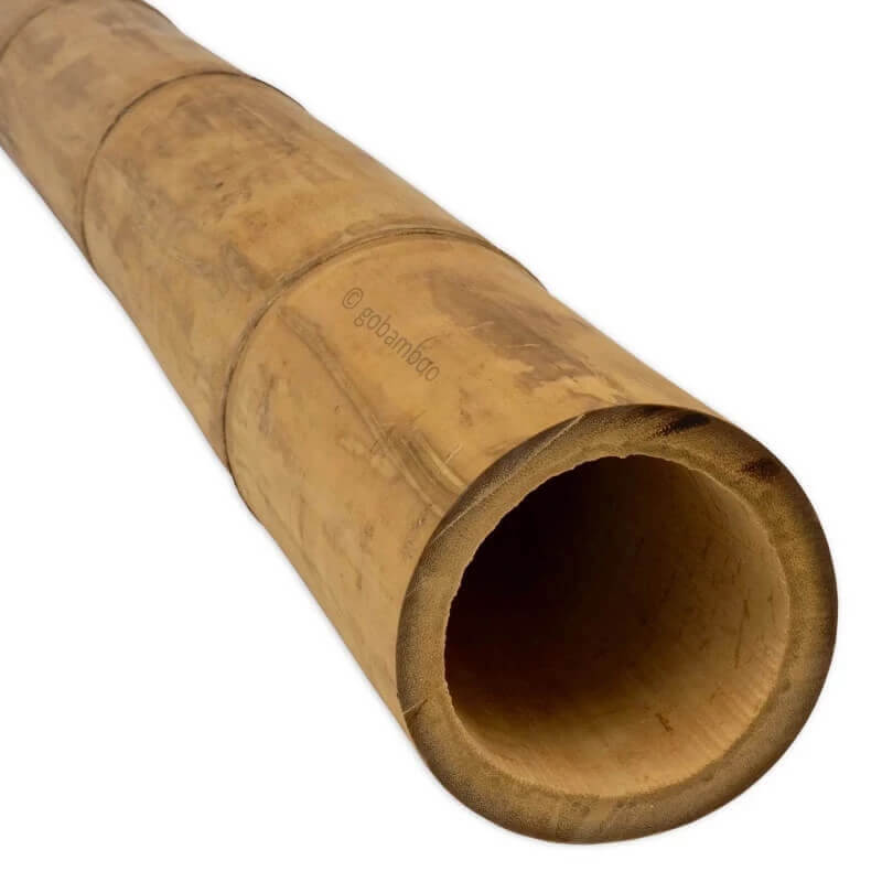 gobamboo s.r.o. Bambusstange Guadua Ø 13-15cm 1m