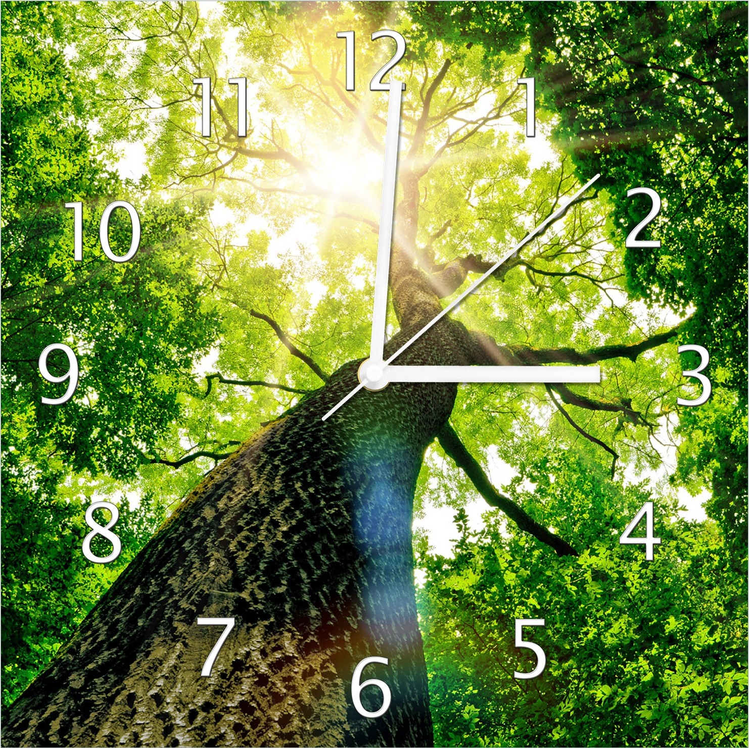 Wallario Design Wanduhr Laubbaum aus der Froschperspektive aus Echtglas, Größe 30 x 30 cm guk0259-3030