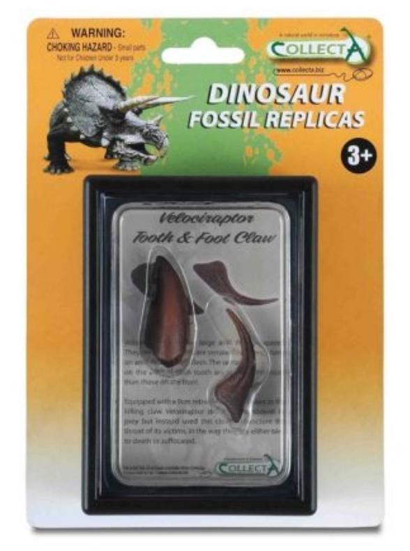 COLLECTA Zahn und Klaue des Volociptors unteren Gliedmaßen in der 89291 Collecta -Packung