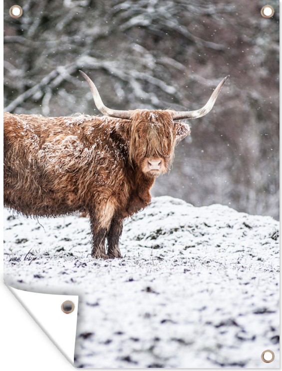 MuchoWow® 30x40 cm Outdoor-Poster Gartendeko Sichtschutz Garten Poster für den Garten Schottischer Highlander - Baum - Schnee 133|299027965