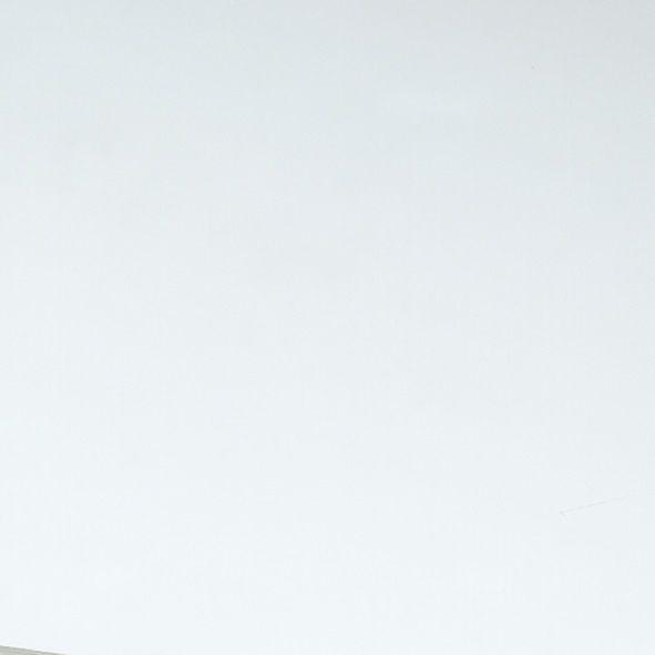 Gutta Polystyrolplatte glatt 50 x 100 cm 2,5 mm klar