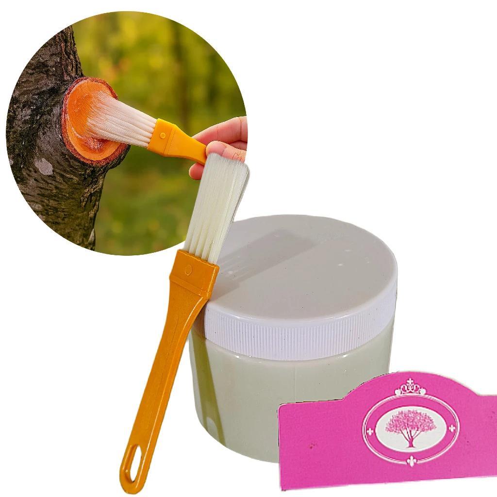 Schramas.com Nursery Baum-Wundheilmittel – Transparent – Wundheilung – 200 Gramm – Mit Pinsel