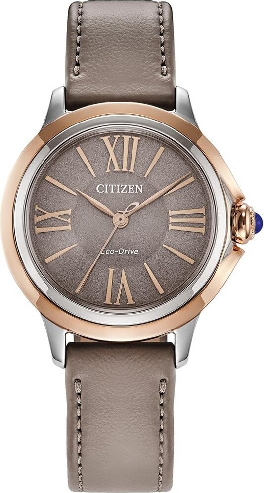 Citizen EM1166-01Z