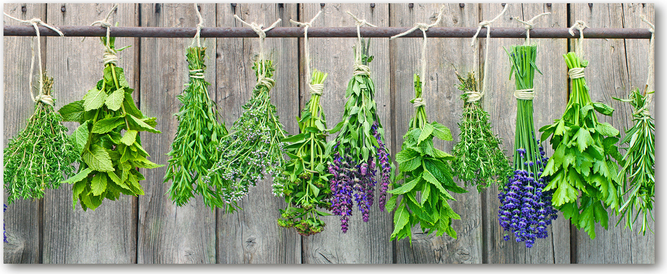 Drukarnia Piga Tulup® Küchenrückwand Spritzschutz aus Glas -125x50 -Spritzschutz auf gehärtetes Glas Essen & Getränke Kräuter an Schnur 010010510070000004441