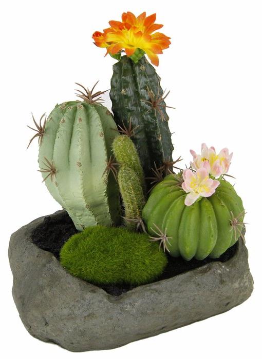 OEM Kunstcactussen in Steinen, 19 x 15 x 14 cm 2026