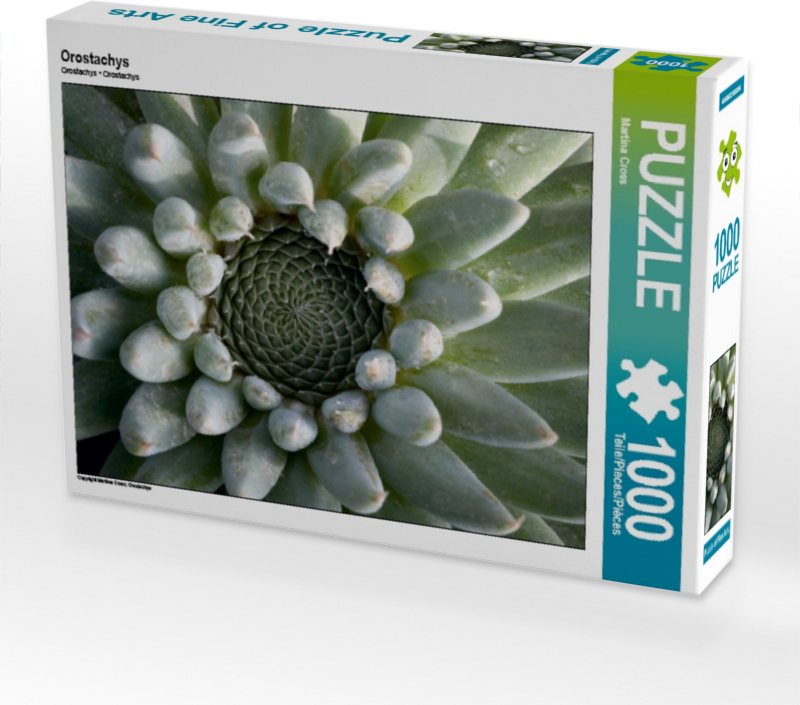 Calvendo Orostachys 1000 Teile Puzzle quer 640x480mm, Cross Martina; 7295832