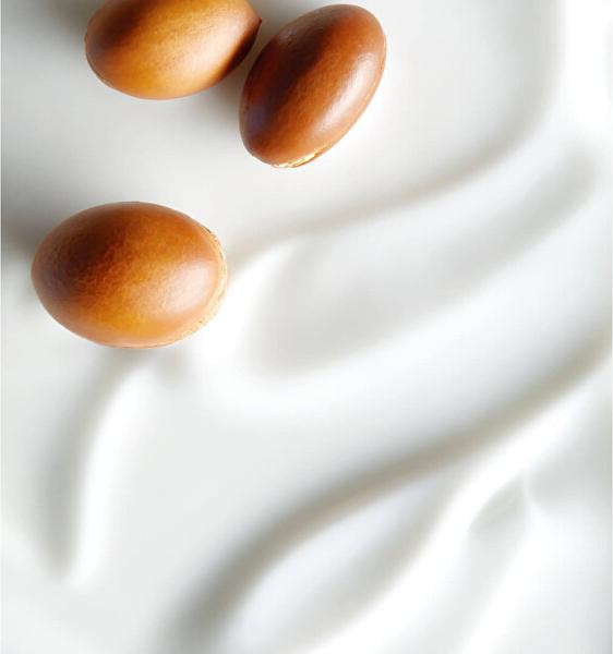 NIVEA BODY Milch 250ml Int. Glttend 88130&