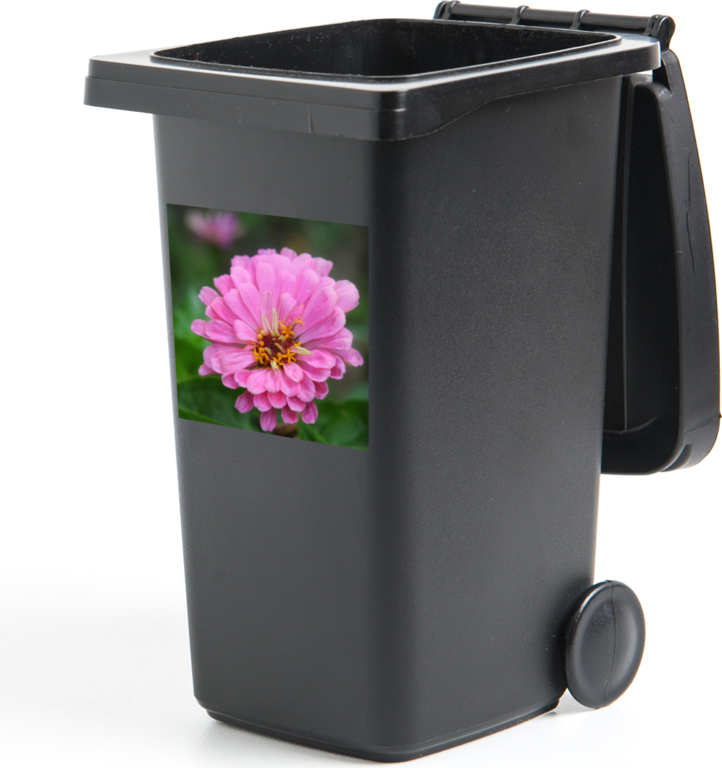 MuchoWow® Mülltonnenaufkleber Rosa Blüten der Zinnie im Garten 40x40 cm - Abfall-Aufkleber - Container - für Abfallcontainer 187|375414646