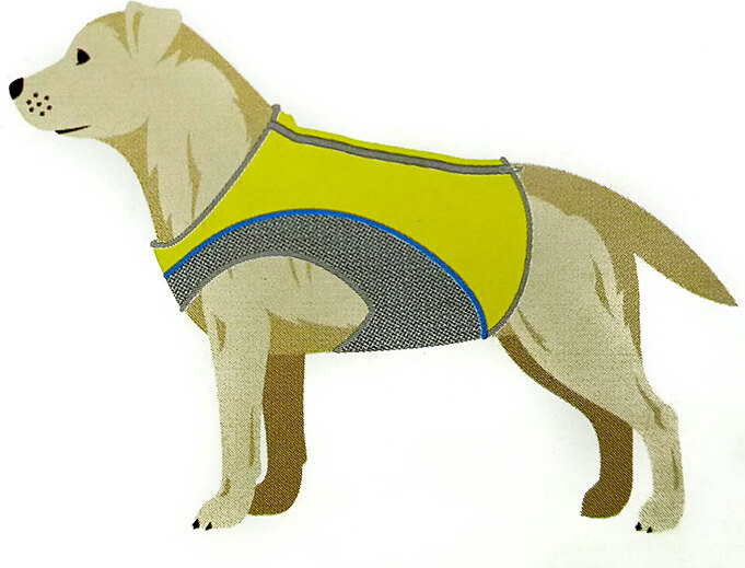 lidl Kühlweste für Hunde Größe. S