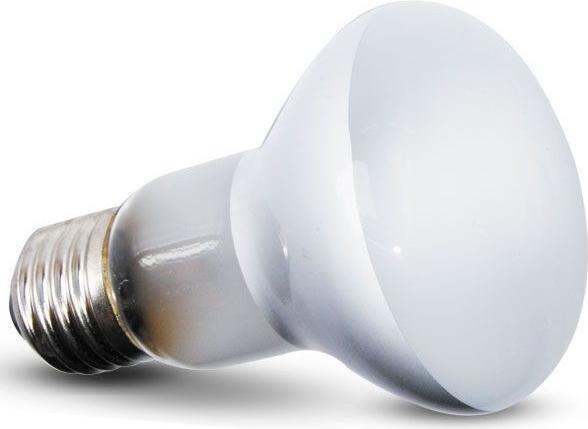 Repti-Zoo Beam Spot 50W - Punktheizlampe Repti-Zoo 149
