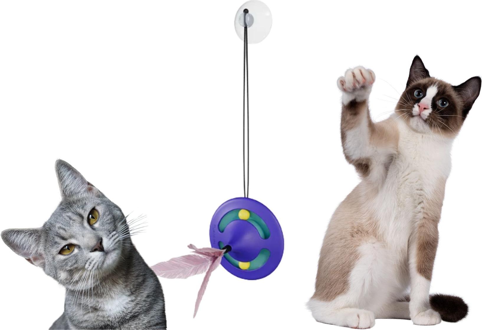 JDS Katzenspielzeug - lila