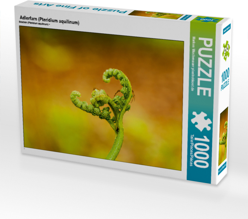 CALVENDO Puzzle Adlerfarn (Pteridium aquilinum) | 1000 Teile Lege-Größe 64x48cm Foto-Puzzle für glückliche Stunden