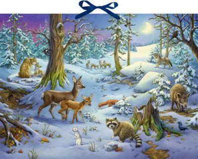 Zvukový adventný kalendár - Počujete zvieratká v zimnom lese?