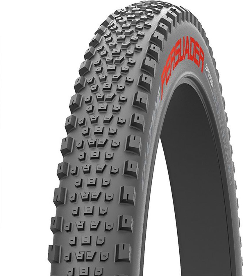 Chaoyang Persuader Speed 120 Tpi Dual Defense Tubeless 27.5´´ X 2.4 Mtb-reifen Silber 27.5´´ x 2.40 Silber 27.5´´ x 2.40 305653500